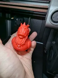 Rubber Duck King