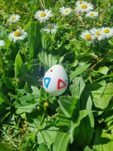 Togepi Egg