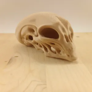 Alien Skull