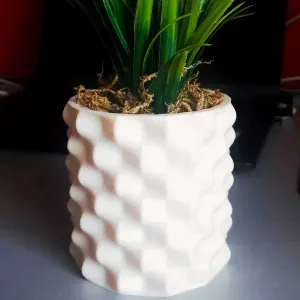 Shark Skin Planter
