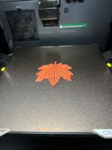 Maple leaf Coaster
