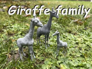Giraffe family in the Zoo