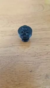skull and crossbones croc charm