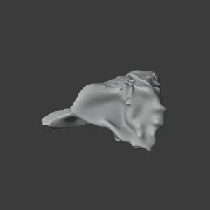 Baru (fossil crocodilian) Skull