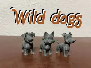 Cute wild dogs