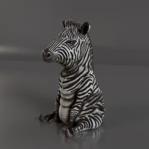 OVERWEIGHT ZEBRA