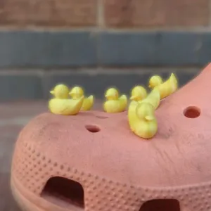 Cute Duckies for Crocs