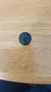 Yin and Yang Croc Charm