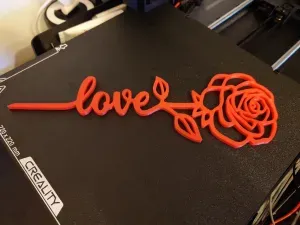Rose of Love
