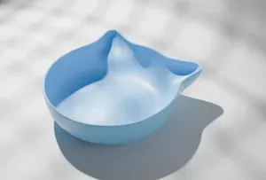 Cat bowl