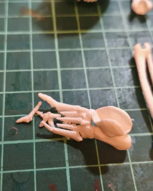 Articulated Skeleton