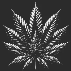 Weed Lamp/Deco (DIY) With Easy Solution To Change Front !