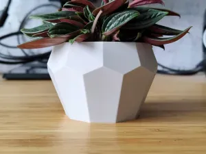 Tall Geometrical Bonsai Pot and Planter - Vase mode