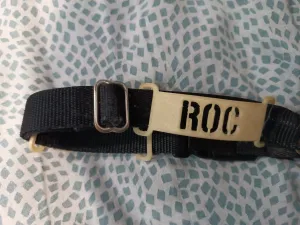 Etiqueta para collar de perro