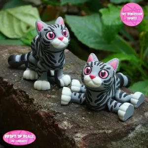 Flexi American Shorthair Cat