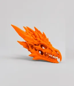 Dragon Skull | Fantasy Fossil