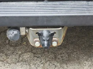 Kryshka towbar in the form of a wild boar's head