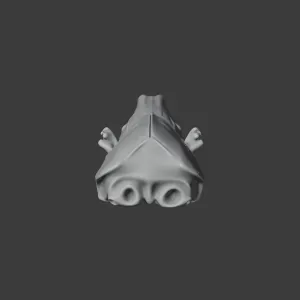 Armored Shrew Skull