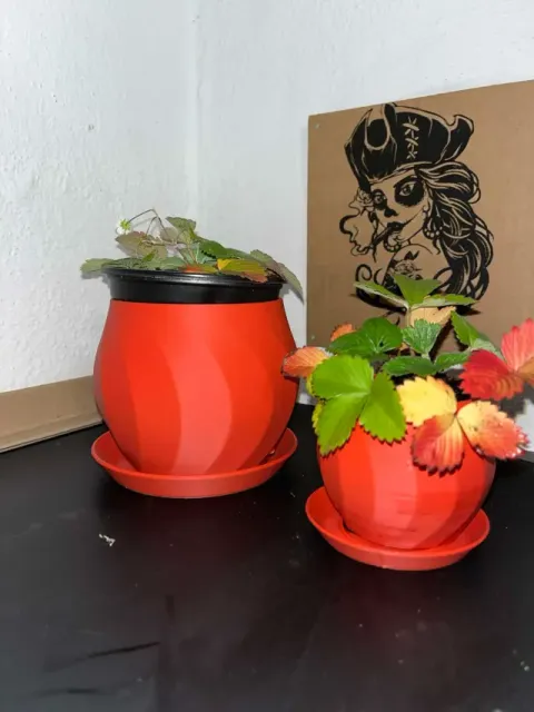 A flower pot with a saucer — Фото 7 из 9
