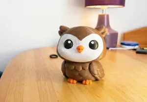 Small Owl