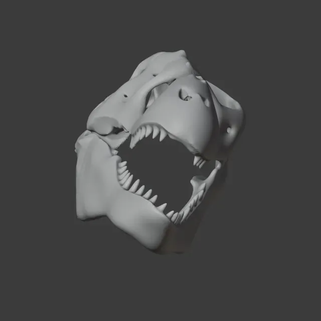 Zygomaturus Skull — Image 6 of 9