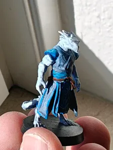 Dragonborn monk - DND miniature