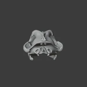 Arctic Wolf Skull