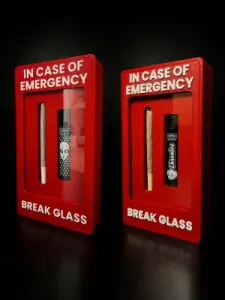 In Case of Emergency: Joint & Lighter Edition