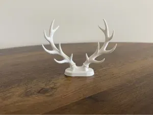 Red Deer Antlers on Stand - Decorative Model