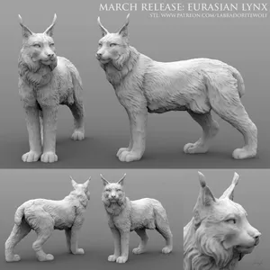 Eurasian Lynx