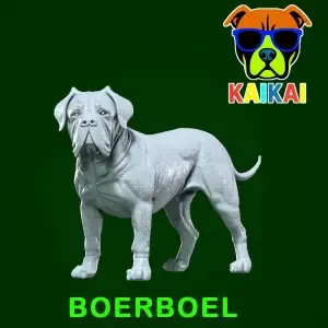 Boerboel statue - South African Mastiff model - 3D print