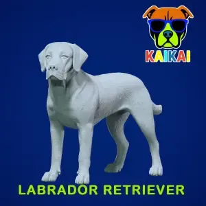 Labrador Retriever statue - Labrador model - 3D print