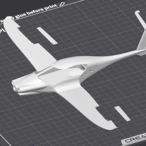 RC Plane Model Full Size Pipstrel Panthera