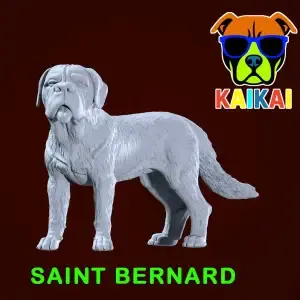 St. Bernard - Saint Bernard model - 3D print