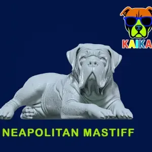 Neapolitan Mastiff statue - Italian Bulldog model - 3D print