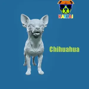 Chihuahua Dog model - 3D print
