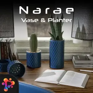 Narae Vase and Planter Set by Polymeria