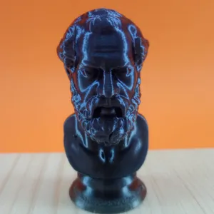 Plato Bust