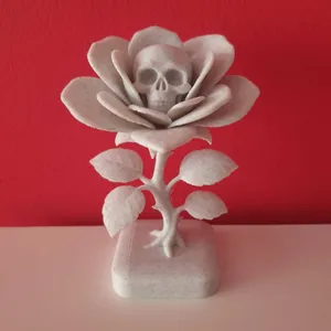Rosa Calavera.  Skull Rose.