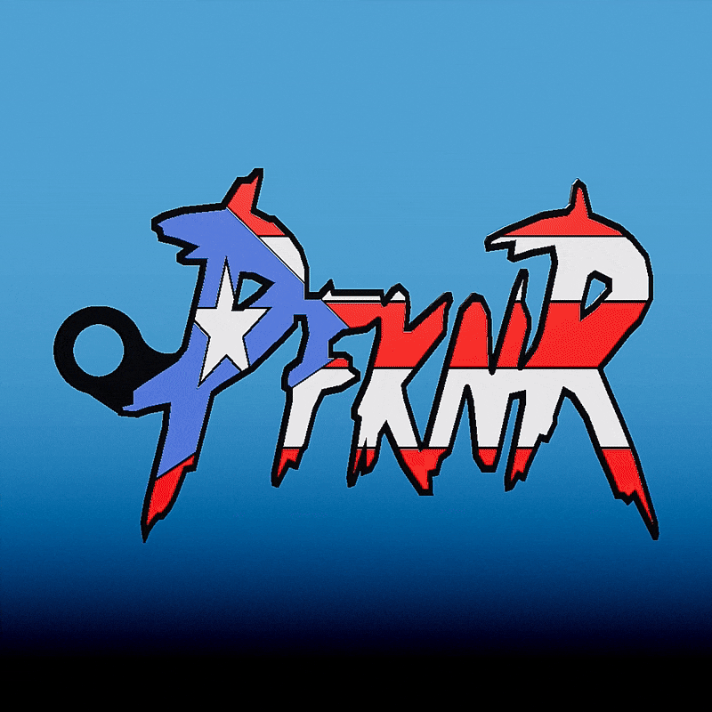 P-FKN-R  🇵🇷, Keychain
