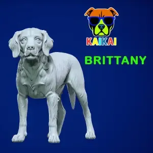 Brittany Spaniel - Breton Spaniel model - 3D print
