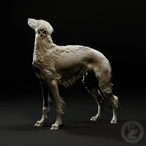 Borzoi