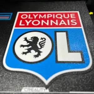 OLYMPIQUE LYONNAIS LIGHTBOX