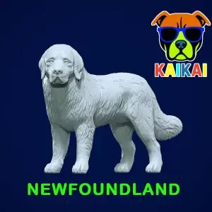 Newfoundland dog - Newfie dog model - 3D print