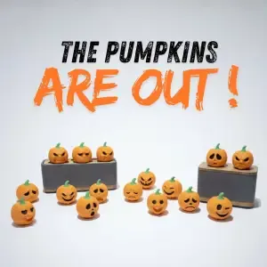 PUMPKINS ARE OUT / GRIMACING PUMPKINS / HALLOWEEN