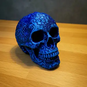 Skull Model