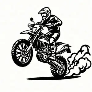 Wallart KTM 690 Enduro single color
