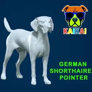 German Shorthaired Pointer model Dog - 3D print