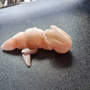 Flexible Baby Sea Monkey