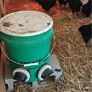 5 Gallon Bucket Chicken Feeder - Low Maintainance!